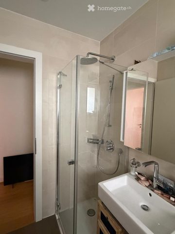 Luxusappartment mit Kellerabteil inkl. WM und Tumbler - Foto 4