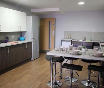 Accessible Ensuite - Photo 6