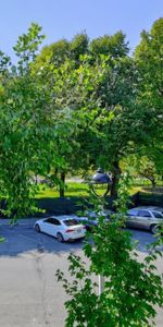 Appartement à louer - Ville-Émard (Sud-Ouest) - Photo 4