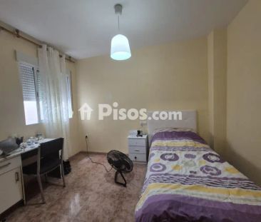 Piso en alquiler en Ejido Centro - Photo 3