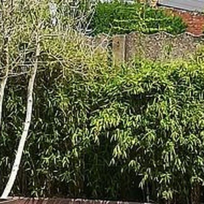 Appartement te huur in Oedelem voor € 850 met 1 slaapkamer - Photo 1