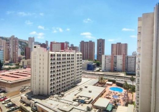 Apartment in Benidorm, for rent