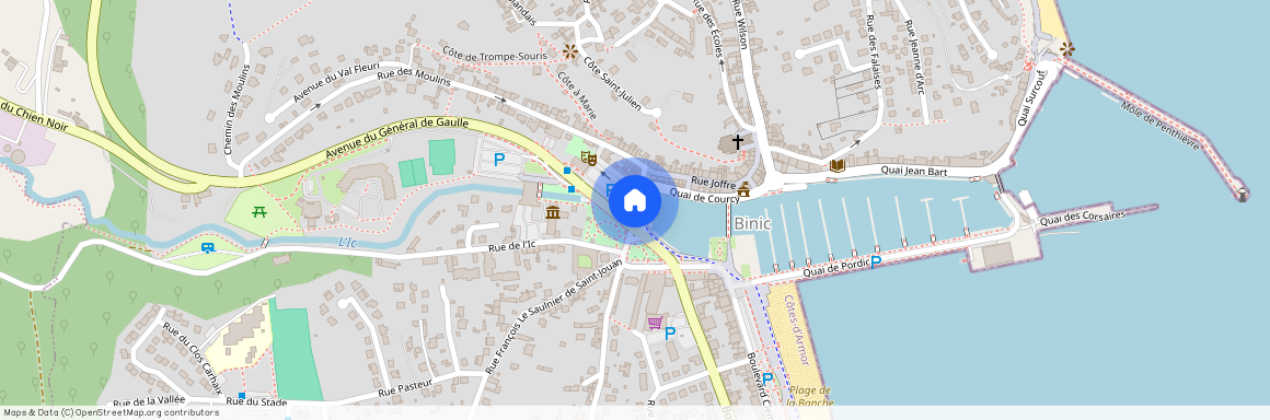 BRETAGNE, COTES-D'ARMOR (22), 22520, Binic