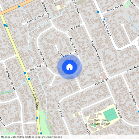 42B Buller Crescent, Manurewa, Auckland