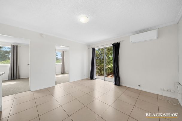 2/17 Campbell Street, Queanbeyan NSW 2620 - Apartment For Rent | Domain - Photo 1