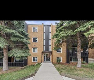Cozy Beautiful Fresh 1 Bedroom Condo!!! — 1 Bedroom Condo Unit - Photo 1