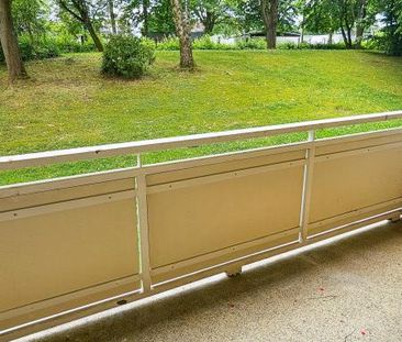 3-Raum Wohnung in ruhiger Lage - Foto 1