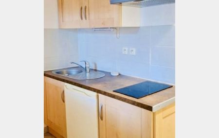 Location Appartement P1 Appartement T1 Meublé rénové(e) Roquemaure - Photo 3