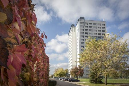 Wir sanieren für Sie - moderne 3-Raumwohnung - Foto 3