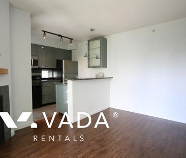 Unfurnished, 2 Bed 2 Bath Apartment For Rent - Photo 6