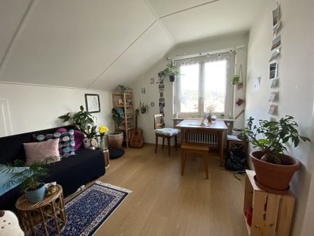 Rent a 2 rooms apartment in Olten - Foto 3