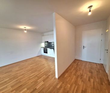 Wohnen über den Dächern von Linz - die perfekte 3-Zimmer-Wohnung! - Photo 1