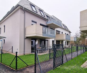 Single- oder Pärchenwohnung mit Balkon im 1. OG - Foto 1