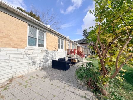 For Lease - 356 Horsham Avenue Unit# Main, Toronto, Ontario - Photo 5