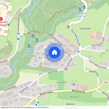 8706, Meilen, In Der Au, 49