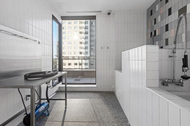 Lease is more. - Photo 1