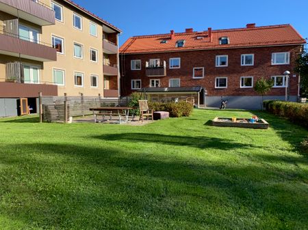 Sandaparken, Umeå - Foto 5