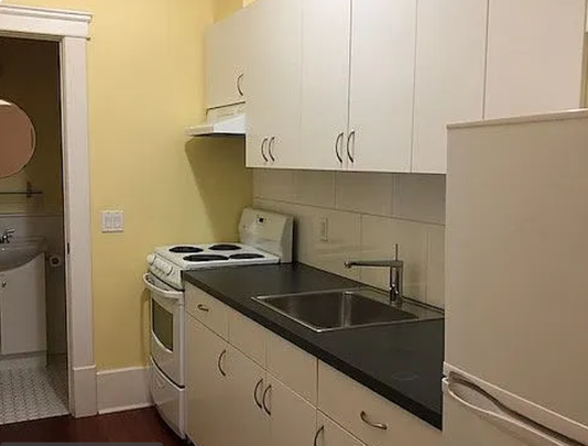 Charming 1 Bedroom in Heritage Building Available March 15th - Photo 1
