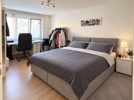 HIRSCHY - Mittendrin statt nur dabei! - Photo 3