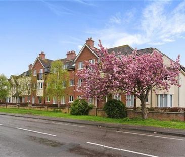 1 bedroom retirement property to rent - Photo 4