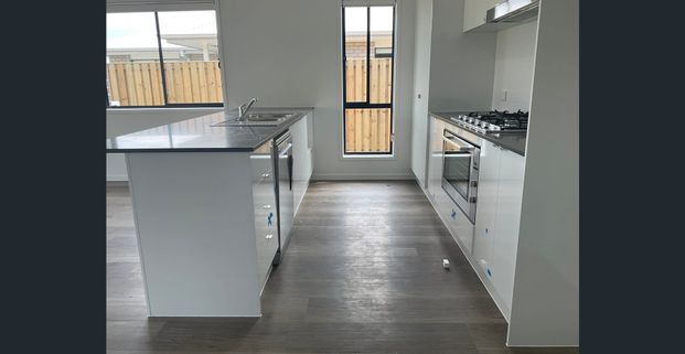 NEAR NEW 4 BEDROOM HOME IN WHITE ROCK! LOW MAINTENANCE! - Photo 1