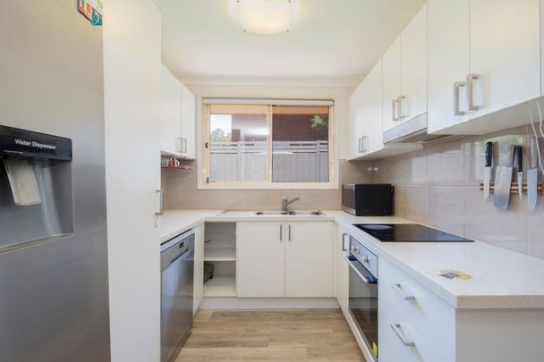 11B Turana Parade, North Lambton NSW 2299 - House For Rent | Domain - Photo 1