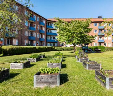 Ljuragatan 97 - Photo 2