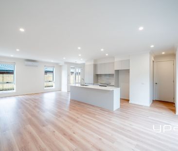 Contemporary Living on Barkly Street - Photo 1