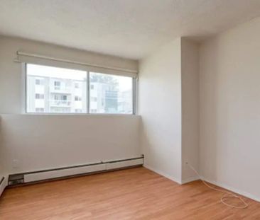 1 Bedroom - Photo 3