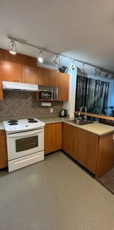 All expenses included, pet friendly, coal harbour heaven (Coal Harbour - Photo 1