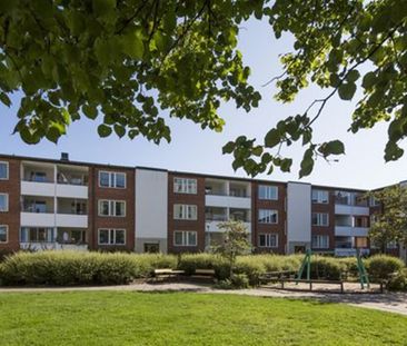 Timmermansgatan 98 - Foto 2