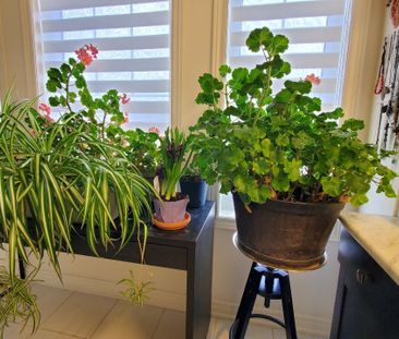 For Lease - 19 Chouinard Way Unit# #Main&2nd, Aurora, Ontario - Photo 4