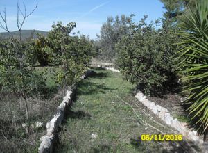 Μονοκατοικία για ενοικίαση - Σαρωνικός, - Photo 5