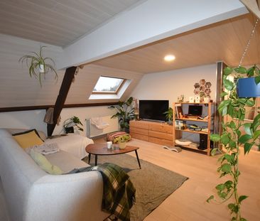 Appartement te huur in Zottegem - Foto 3
