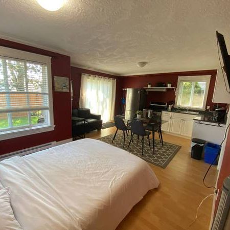 Gorgeous Bachelor Suite in Central Langford - Photo 4