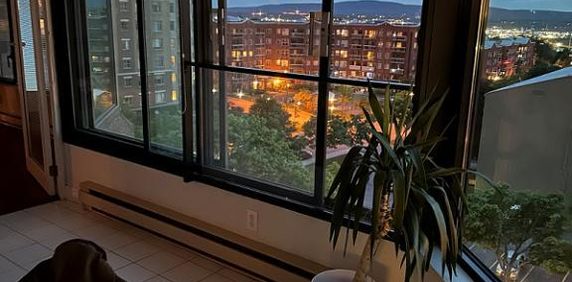 Appartement 4 ½ à louer près de Université Laval - Photo 2