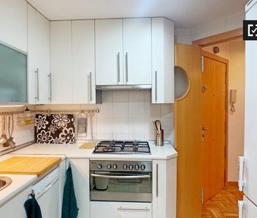 madrid, Community of Madrid 28005 - Photo 6