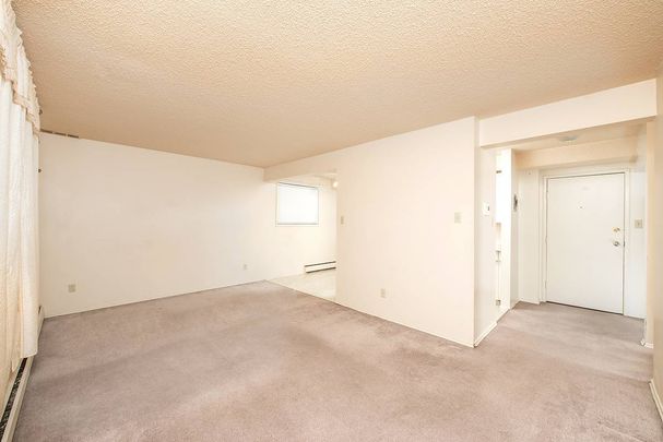 Emerald Court - Photo 1