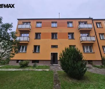 Podnájem bytu 2+1 s možností využití společné zahrady - Photo 3