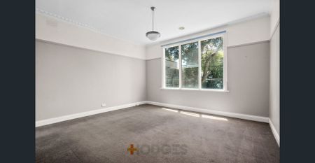 Stylish Californian Looking Into The Sun - Photo 4