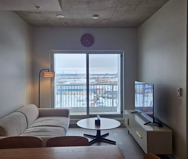 5605 Av. Pierre De Coubertin, Montréal (Mercier, QC H1N - Photo 1