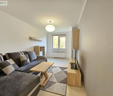 Sosnowiec / Niwka - Zdjęcie 2