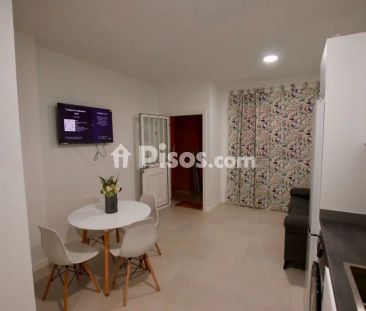 Piso en alquiler en Calle Paises Bajos - Foto 4