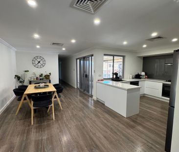 Marangaroo - Photo 1