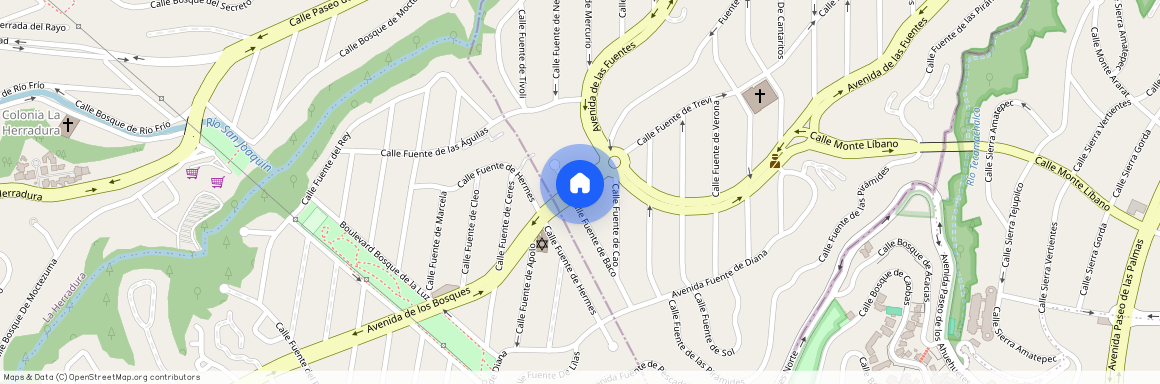Avenida de los Bosques 8, 53950 Naucalpan de Juárez, MEX, Mexico