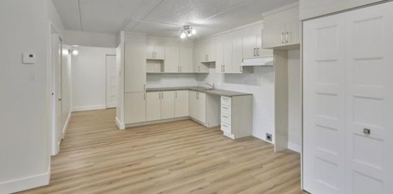 4 1/2 - Deux-Montagnes - 1 475 $/mois - Photo 2