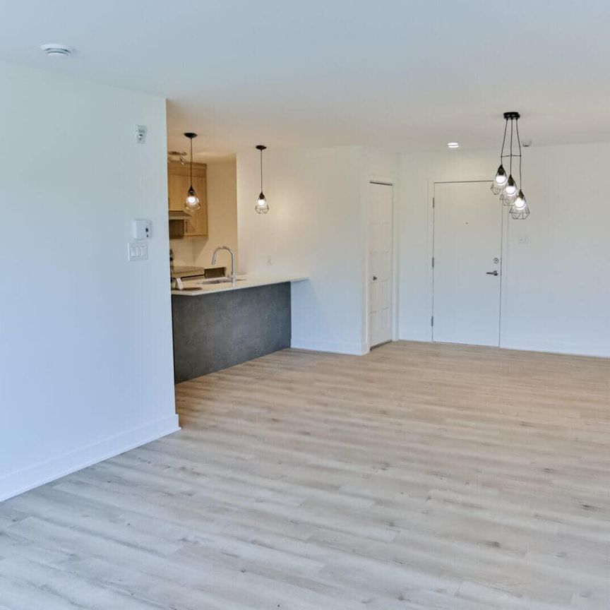 Rg de la Petite-Noraie, J6E 8Y8, Saint-Charles-Borromée - Photo 1