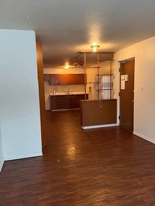 2 BDRM/1 BATH - 602 HOPKINS ST - Available Now *DECEMBER RENT SPECIAL* - Photo 1