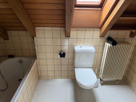 Rent a 3 ½ rooms apartment in Fislisbach - Photo 3