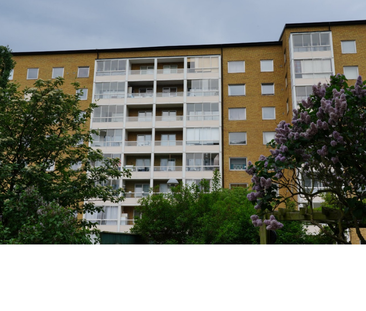 Docentgatan 3A, Almhög - Photo 3